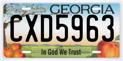 GA license plate CXD5963