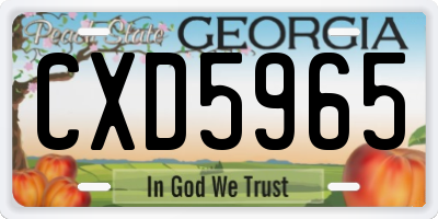 GA license plate CXD5965
