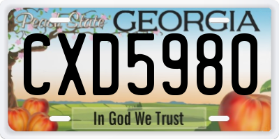 GA license plate CXD5980
