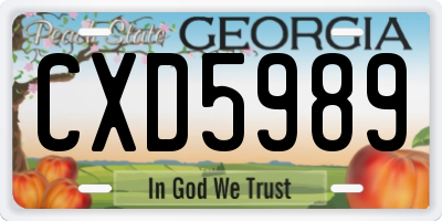 GA license plate CXD5989