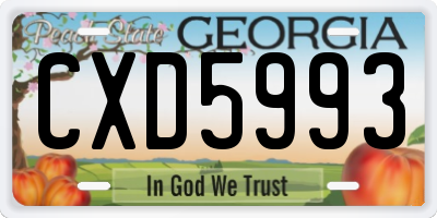 GA license plate CXD5993