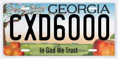 GA license plate CXD6000