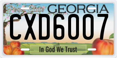 GA license plate CXD6007