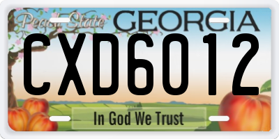 GA license plate CXD6012