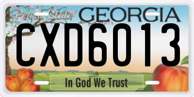 GA license plate CXD6013