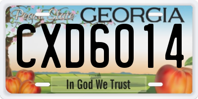 GA license plate CXD6014