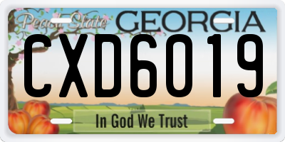 GA license plate CXD6019