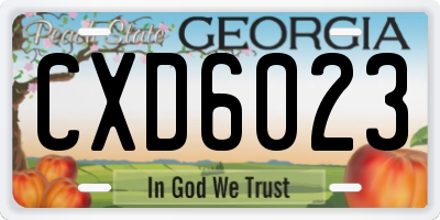 GA license plate CXD6023