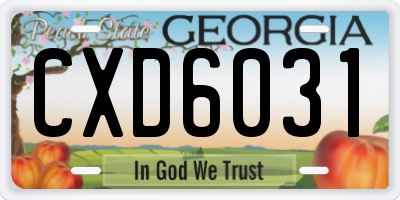 GA license plate CXD6031