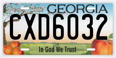 GA license plate CXD6032