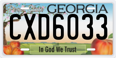 GA license plate CXD6033
