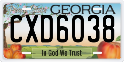 GA license plate CXD6038