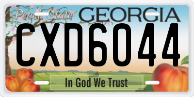 GA license plate CXD6044