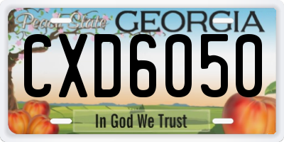 GA license plate CXD6050