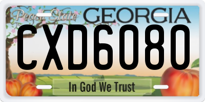 GA license plate CXD6080