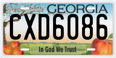 GA license plate CXD6086