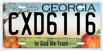 GA license plate CXD6116