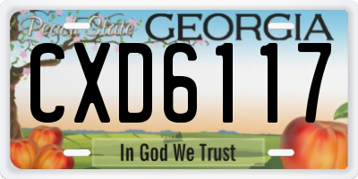 GA license plate CXD6117