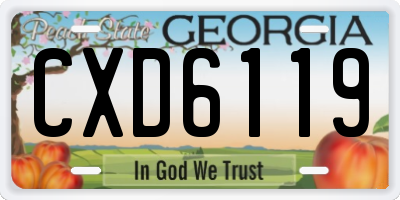 GA license plate CXD6119