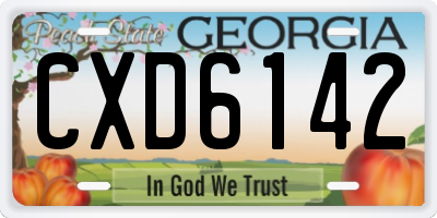 GA license plate CXD6142