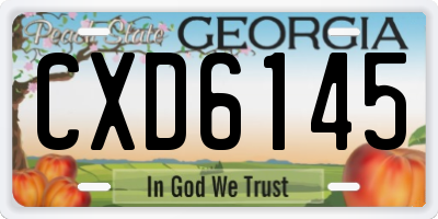 GA license plate CXD6145