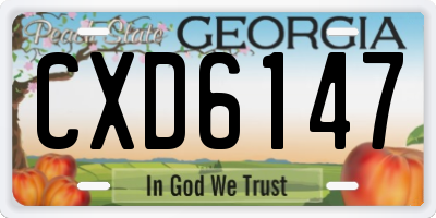 GA license plate CXD6147