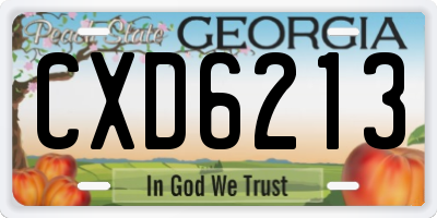 GA license plate CXD6213
