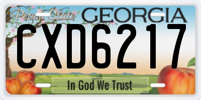 GA license plate CXD6217