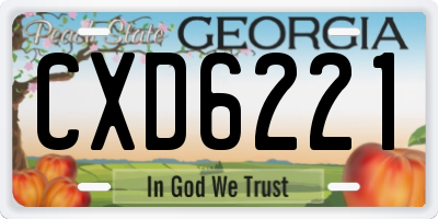 GA license plate CXD6221
