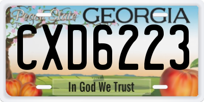 GA license plate CXD6223
