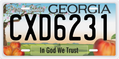 GA license plate CXD6231