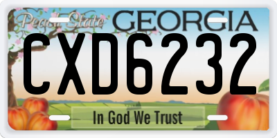 GA license plate CXD6232