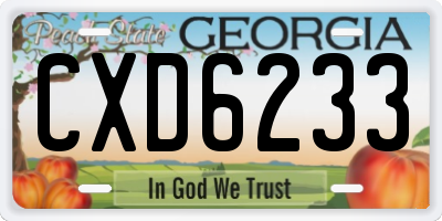 GA license plate CXD6233
