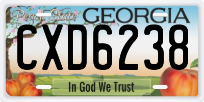 GA license plate CXD6238