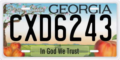 GA license plate CXD6243