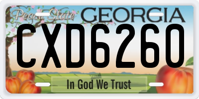 GA license plate CXD6260
