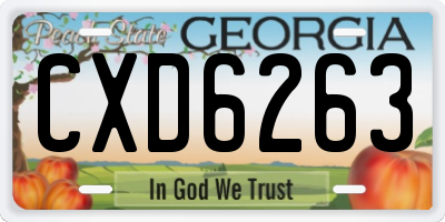 GA license plate CXD6263