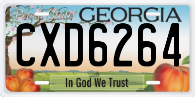 GA license plate CXD6264