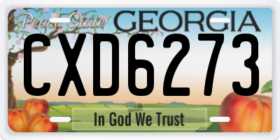 GA license plate CXD6273