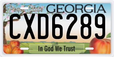 GA license plate CXD6289
