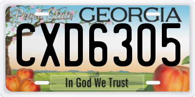 GA license plate CXD6305