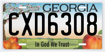 GA license plate CXD6308