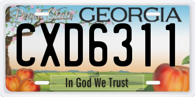 GA license plate CXD6311