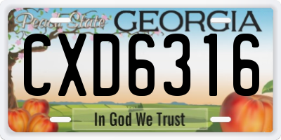 GA license plate CXD6316