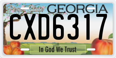 GA license plate CXD6317