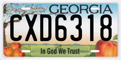 GA license plate CXD6318