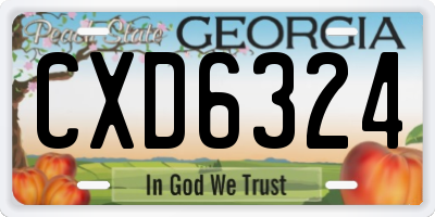 GA license plate CXD6324