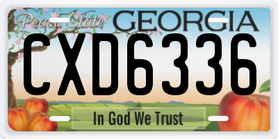 GA license plate CXD6336