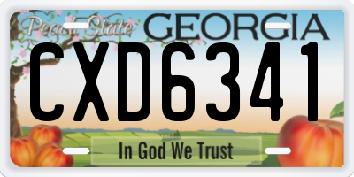 GA license plate CXD6341