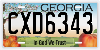 GA license plate CXD6343